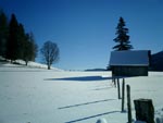 Snowboarden in Schladming