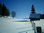 Snowboarden in Schladming